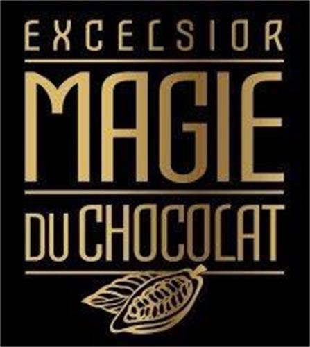 Конфеты Шоколадные Пралине без Ликера Pralinen Excelsior Magie du Chocolat Ohne Alkohol Norma 300 г Германия - фото 5 - id-p1737325918
