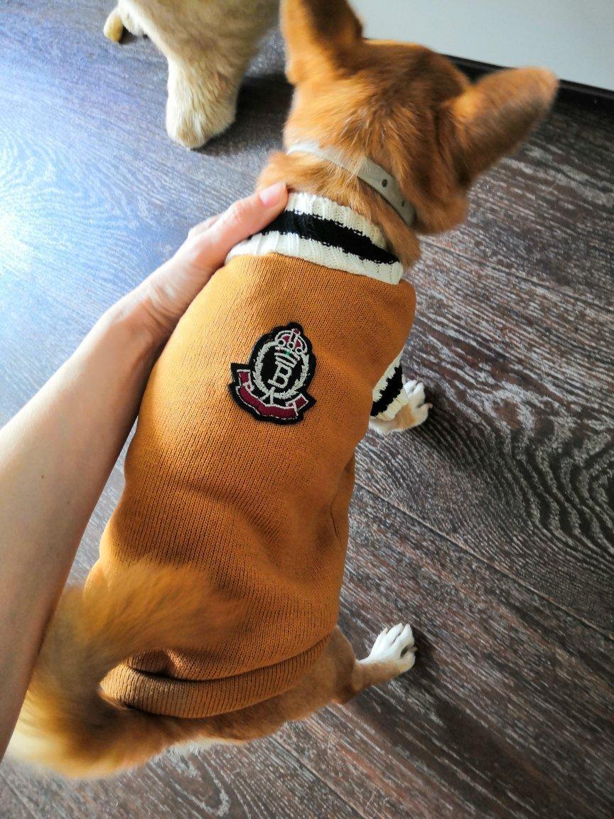 Класичний жилет для собак Pet Style "V-виріз" Гірчичний XS
