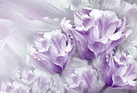 Фотошпалери Tulips purple