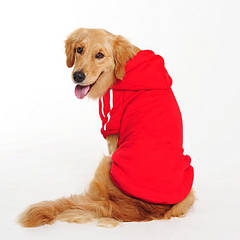 Толстовка для собак однотонна Pet Style "Спорт" Червона S