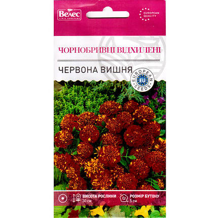 Насіння чорнобривців "Червона вишня" (0,5 г) від ТМ "Велес", фото 2