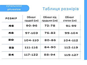 Купальник з високими трусиками бразиліана розмір 46 чашка C-D, фото 2