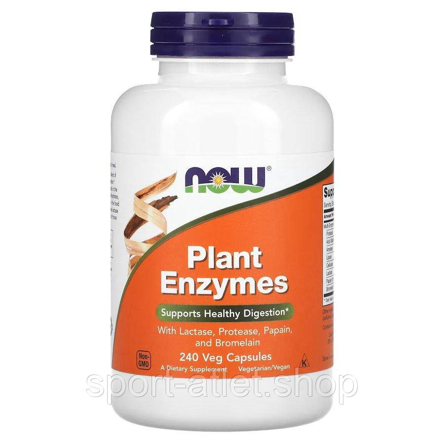 Пробіотики і пребіотики NOW Plant Enzymes, 240 вегакапсул, фото 1