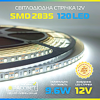Світлодіодна стрічка 12В Tasma LED Light Polska 50м/бух 120LED/m SMD2835 12V IP20 9,6 Вт/м 600Lm 6500K біла холодна