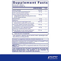 Пам'ять Про, Memory Pro, Pure Encapsulations, 90 капсул BX525, фото 2