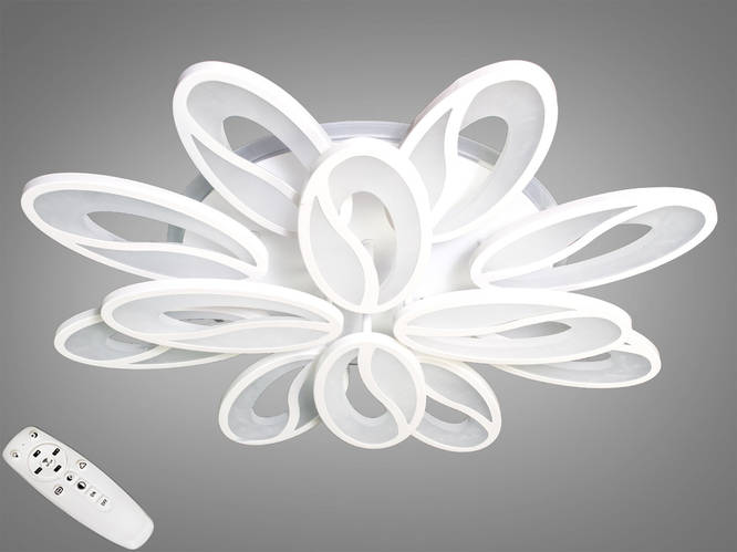 Купить Современная люстра с разными режимами освещения 8090/8+4WH LED ...