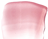 Блиск для губ Paese Beauty Medowfoam oil lipgloss № (03) glossy, фото 2