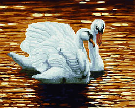 Картина за номерами і алмазна мозаїка 2 в 1. Rainbow Art "Лебеді на заході" GZS1112-RA