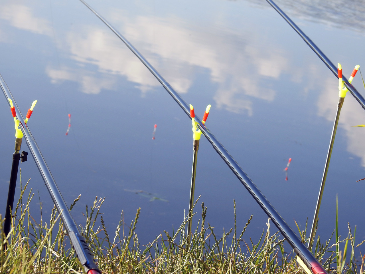 Купить Удочки 6м в сборе Рыболовный набор 3 шт маховые удилища Джокер ...