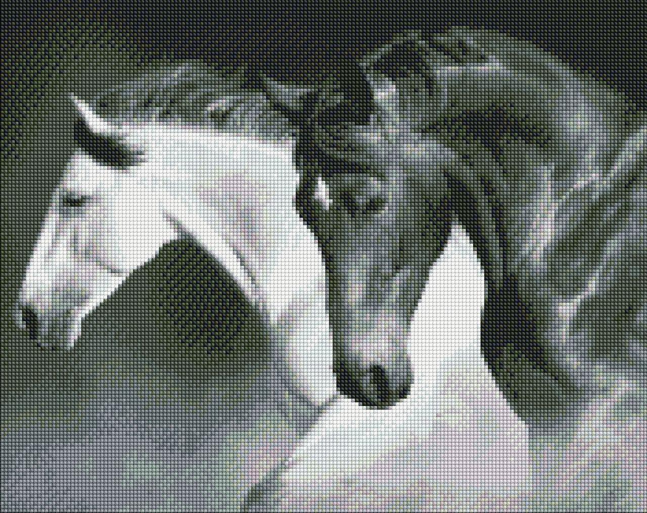 Алмазна мозаїка AMO7421 Чорно-біла сила, 40x50см Ideyka на підрамнику