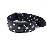 Нашийник із натуральної шкіри із заклепками та стразами Art of Sex — Jenna Collar, Чорний, фото 2