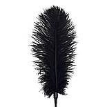 Щіткалка зі страусячим пером Art of Sex — Puff Peak, колір Чорний 777Store.com.ua, фото 3
