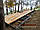 Сауна Cube Quadro 9,0x3,5m від виробника Thermowood Production, фото 8