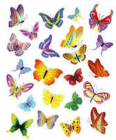 Термонаклейка для одежды Бабочки цветные