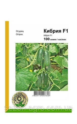 Огірок Кібрія F1 100 н. Rijk Zwaan