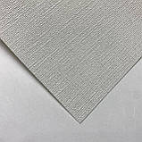 Шпалери вінілові на флізеліновій основі AS Creation Pint Walls білий 0,53 х 10,05м (30688-2), фото 3
