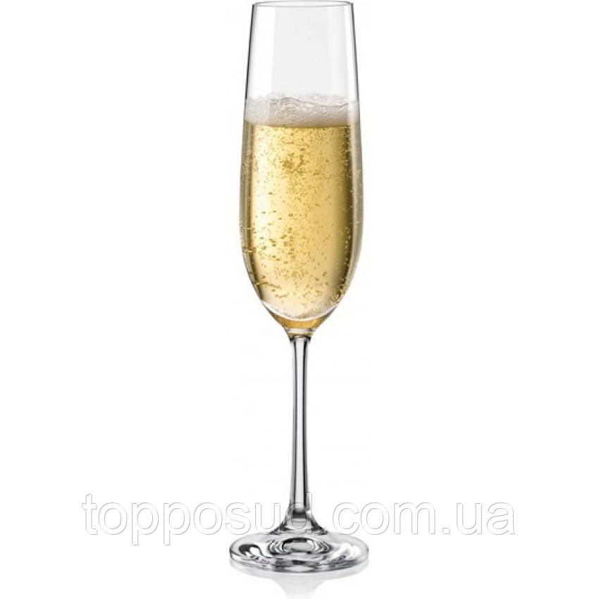 Набор бокалов Bohemia Viola 190 мл для шампанского 2 шт 40729 190 BOH - фото 1 - id-p1738167761