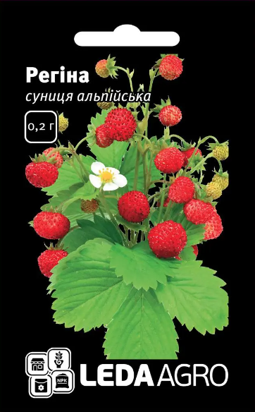 Суниця альпійська, Регіна, 0,2  (Leda Agro), фото 1