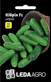 Огірок Кібрія F1, 50 шт (Leda Agro)