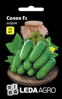 Огірок Солон F1, 50 шт (Leda Agro)