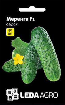 Огірок Меренга F1, 50 шт (Leda Agro)