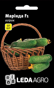 Огірок Марінда F1, 50 шт (Leda Agro)