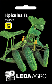 Огірок Кріспіна F1, 50 шт (Leda Agro)