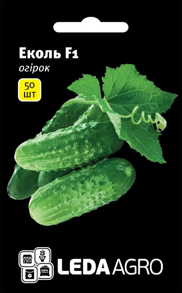 Огірок Еколь F1, 50 шт (Leda Agro), фото 1
