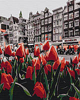 Картина по номерам Тюльпаны Амстердама 40х50 см