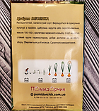 Насіння цибулі Радуга, фото 4