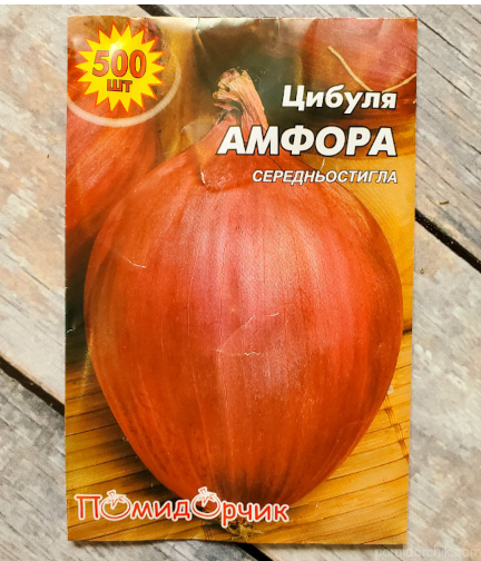 Насіння цибулі Амфора, фото 1