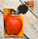 Насіння цибулі Амфора, фото 3