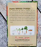 Насіння моркви Червона троянда, фото 4