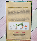 Насіння моркви Московська зимова, фото 4