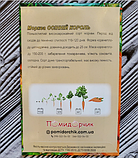 Насіння моркви Осінній король, фото 2