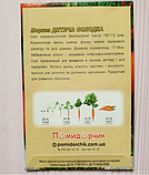 Насіння моркви Дитяча солодка, фото 4