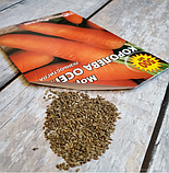 Насіння моркви Королева осені, фото 6