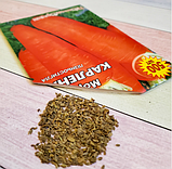 Насіння моркви Карлена, фото 4