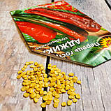 Насіння перцю Аджика, фото 4