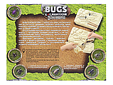 Набір для розкопок комах Bugs Excavation, фото 4