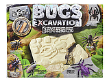 Набір для розкопок комах Bugs Excavation, фото 3