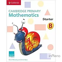 Cambridge Primary Mathematics Starter Activity Book B