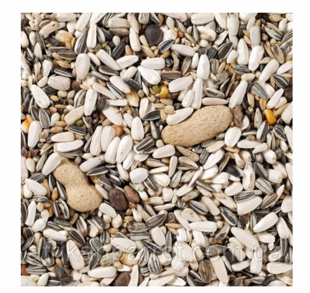 Купить DELI NATURE Корм для крупных попугаев + арахис (BEYERS BELGIUM ...