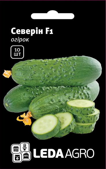Огірок Северин F1, 10 шт (Leda Agro), фото 1