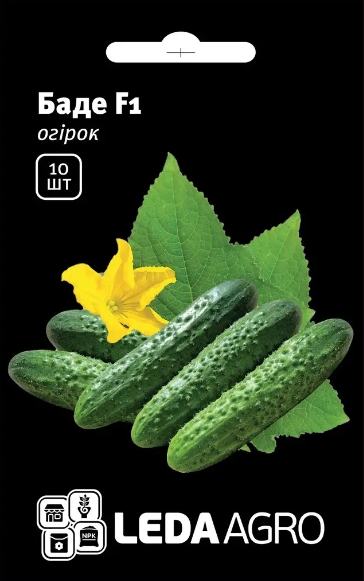 Огірок Баде F1 10 шт (Leda Agro), фото 1