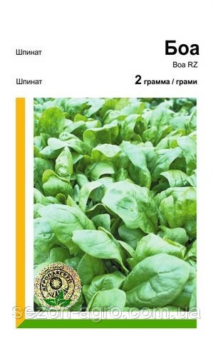 Шпинат Боа 2 г. Rijk Zwaan, Нідерланди