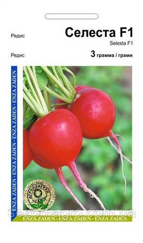 Редис Селеста F1 3 г Enza Zaden