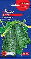 Насіння огірок Арктика F1 (10 шт) партенокарпiк ультраранній самозапильний, For Hobby, TM GL Seeds