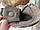 Черевики берці тактичні шкіряні зі вставками водостійкі GLADIATOR PIXEL на шнурівці та блискавці, фото 8