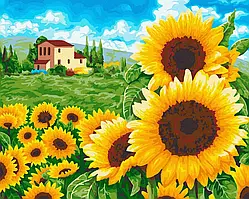 Картина за номерами Пишні соняшники 40*50 см Живопис на полотні Набір для малювання Поле соняхів Rainbow Art GX39003
